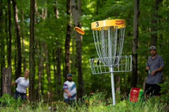 Disc golf session