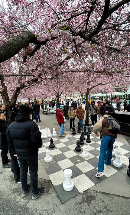 Chess session